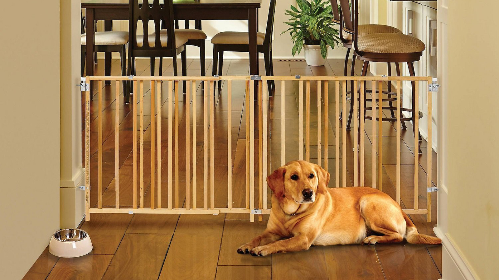 سگ در کنار موانع چوبی در خانه