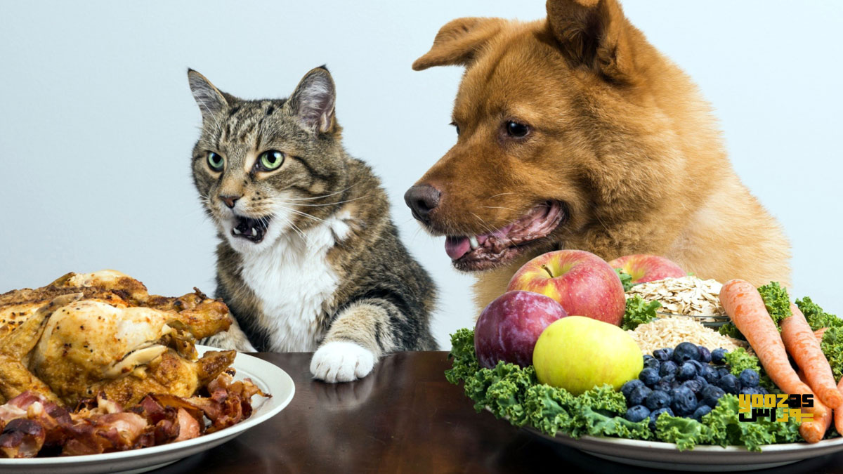  سگ و گربه در حال خوردن غذاهای مورد نیازشان