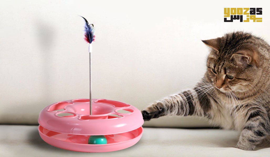 اسباب بازی باعث تقویت هوش گربه ها می شود