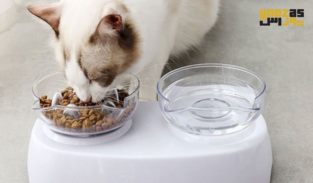 رژیم غذای خشک گربه ها